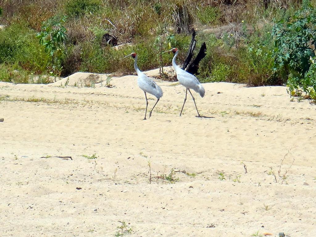 Exploring new spots is not all about the fishing.  There's plenty of bird and animal life to enjoy. © Lee Brake